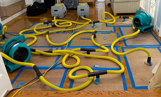 Professional Water Damage Repair technician working in Stanton, CA